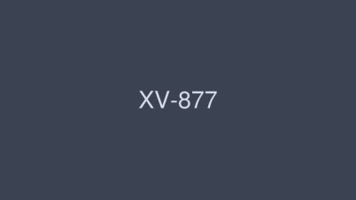 XV-877 Let Haruka Ito